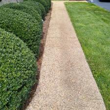 Mold and Algae Removal from Brick in Earlysville, VA 6